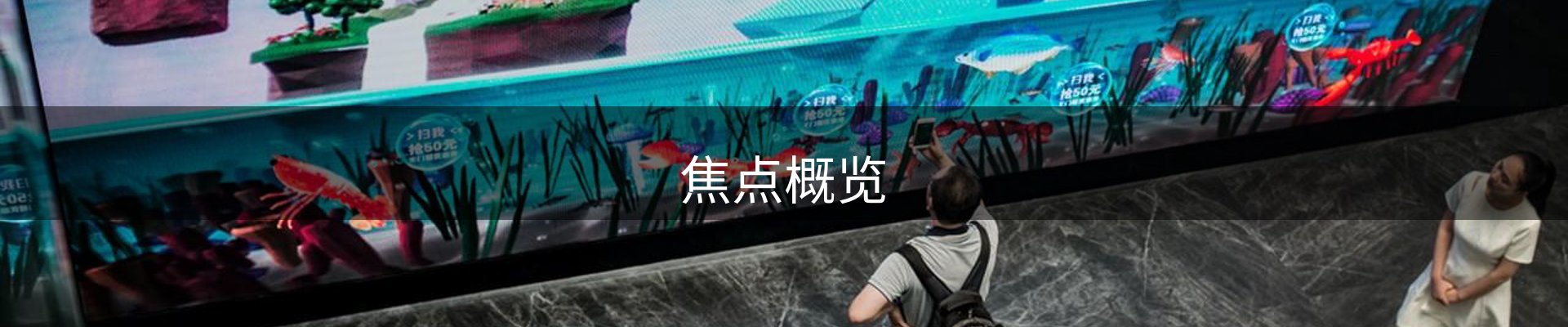 焦点概览